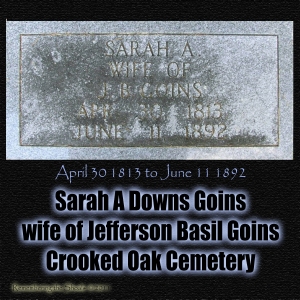 Sarah A Downs Goins